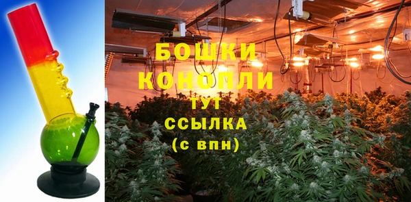 винт Елизово