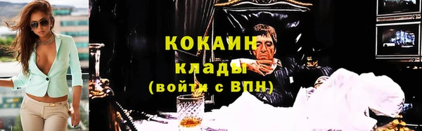 винт Елизово