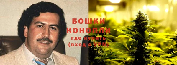 spice Елабуга
