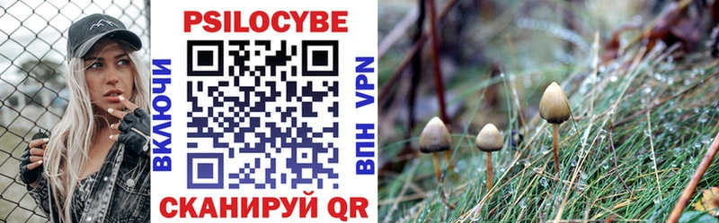 где купить Домодедово Псилоцибиновые грибы GOLDEN TEACHER